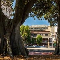 1-9 Glebe Point Road